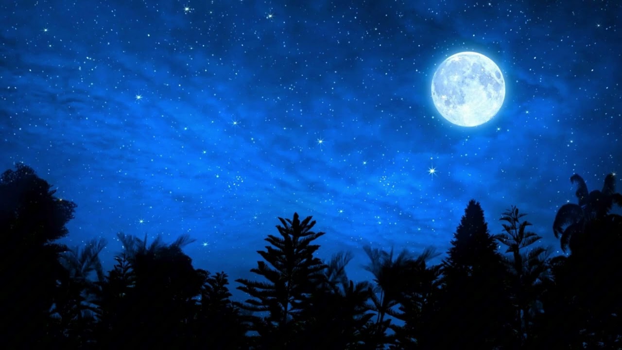 O Espírito Santo de Deus vai te abençoar nesta noite - Momento de Oração