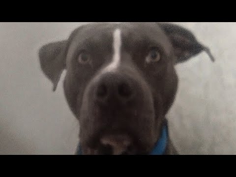 The Morning Beer Podcast Ep 154 The Best Of Trash Pt 1