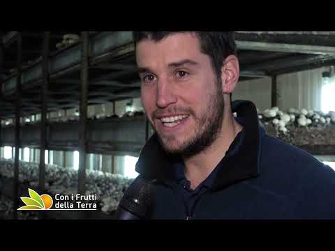 Puntata del 29-01-2023 - 1° parte