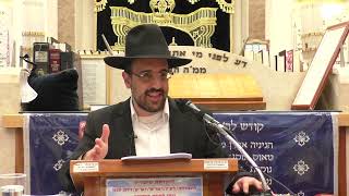 הרב מאיר אליהו | סוד ברכת האילנות | יזדים