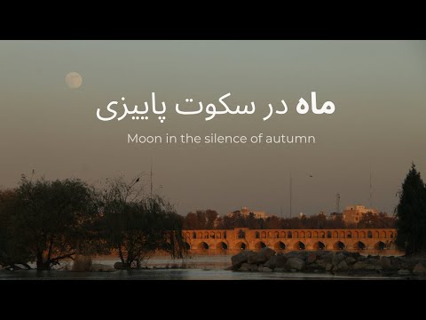 Autumn Moonlight | Peaceful Cinematic Nature Film