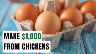 How Much Money We Selling Eggs in 1 Year