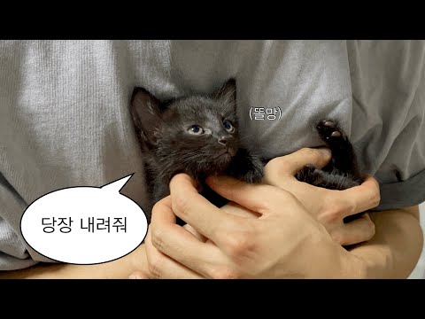 계속 안고있을래