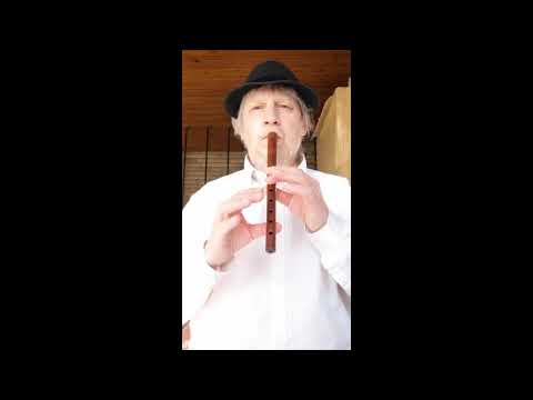 10 Harcsa van a vízben