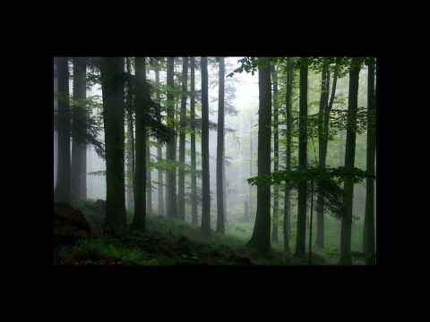 Dante's 'La Vita Nuova' - 'Vide Cor Meum'