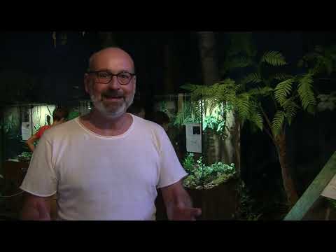 Interviews: Die Kasseler Museumsnacht öffnet Welten