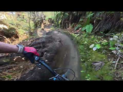 Whaka 50 km E Bike 2025