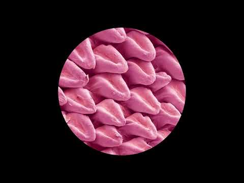 Lars Huismann — Centrifuge [FK001]