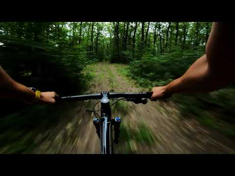 Friends on Bikes | Padure Husasau de Cris, Ineu, Uileacu de munte - Bihor