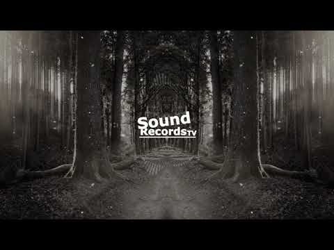 STIEKZ X SOUL FAYA X AVI S - KALE PUNI