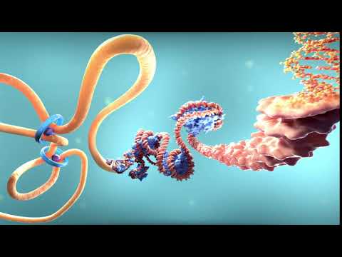 Introducing the Omni-C™ Kit