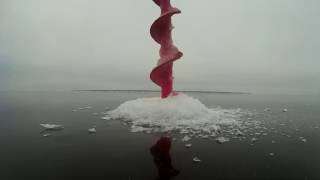 Ссылка