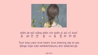 Download lagu Yiding Yao Ai Ni 一定要爱你 || Lyric Pinyin [Ind & Eng Sub] mp3