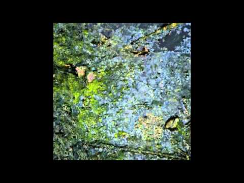 Massimo Cassini - Soul Gravity (Original Mix) [SIC0280]