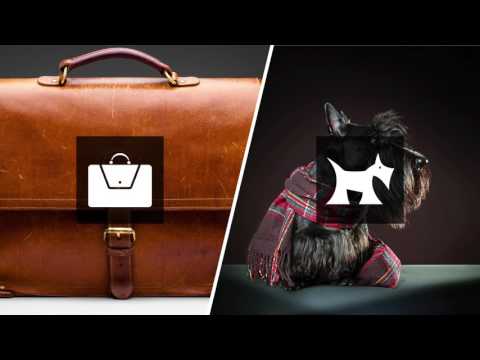 Stay Dog Hotel—50/50