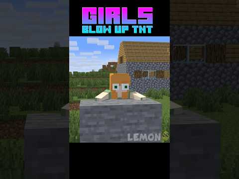 Girls vs Boys Blow UP TNT ! #shorts #minecraft