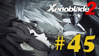 ゼノブレイド２　細々実況　＃４５