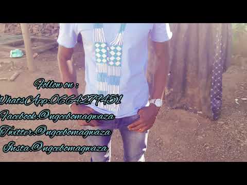 amapiano mix hits by dj pn shandisi ft kabza , Shasha, maphorisa,major league , busta929 etc.