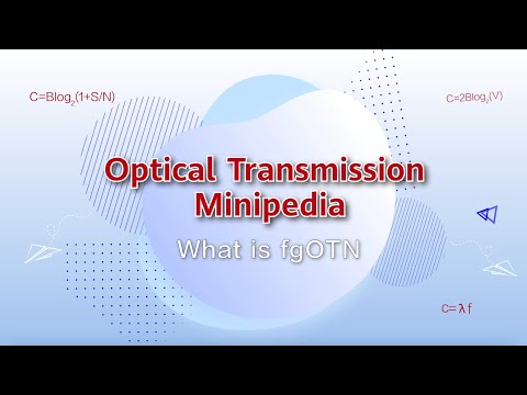 The Next Step in Smarter Connectivity: Fine‑Grain OTN