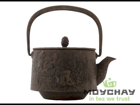 Чайник антикварный Тецубин, Япония, конец 19 века # 42461, металл, 200 мл.