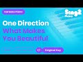One Direction - What Makes You Beautiful (Karaoke Piano)