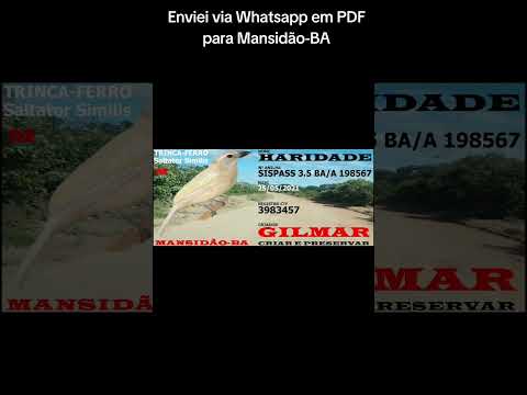 Enviei via Whatsapp em PDF para Mansidão-BA 🔥🫅