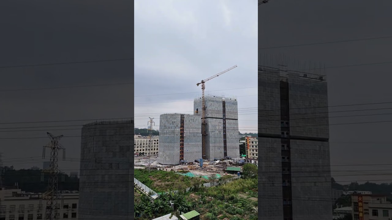 Почему в Китае рядом с технологичными заводами и небоскрёбами разводят гусей?!