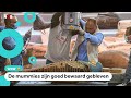 Zeker honderd sarcofagen (en mummies) gevonden in Egypte
