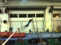 Fabu Double Araibian