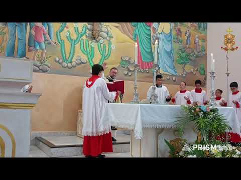 Transmissão ao vivo de Paróquia Nossa Senhora  Conceição de Pedro II-PI