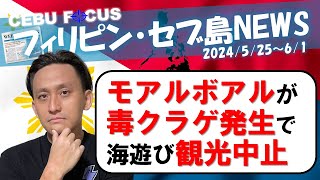 【毒性クラゲ発生でモアルボアルのウォーターアクティビティ観光一時中止！】など コレを観ればセブ島の今がわかる！【フィリピン・セブ島ニュースまとめ】