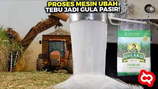 Download lagu Often Consumed, But Not Know the Process? Here's How a Granulated Sugar Machine Works From Start ... mp3 Download lagu Often Consumed, But Not Know the Process? Here's How a Granulated Sugar Machine Works From Start ... mp3