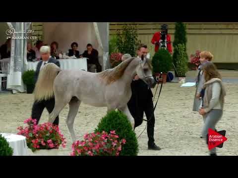 N.62 HERCULES EA - Deauville 2017 - Yearling Colts (Class 6B)