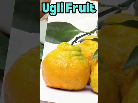 Discover Ugli Fruit: The Unique Superfood You Need to Try!