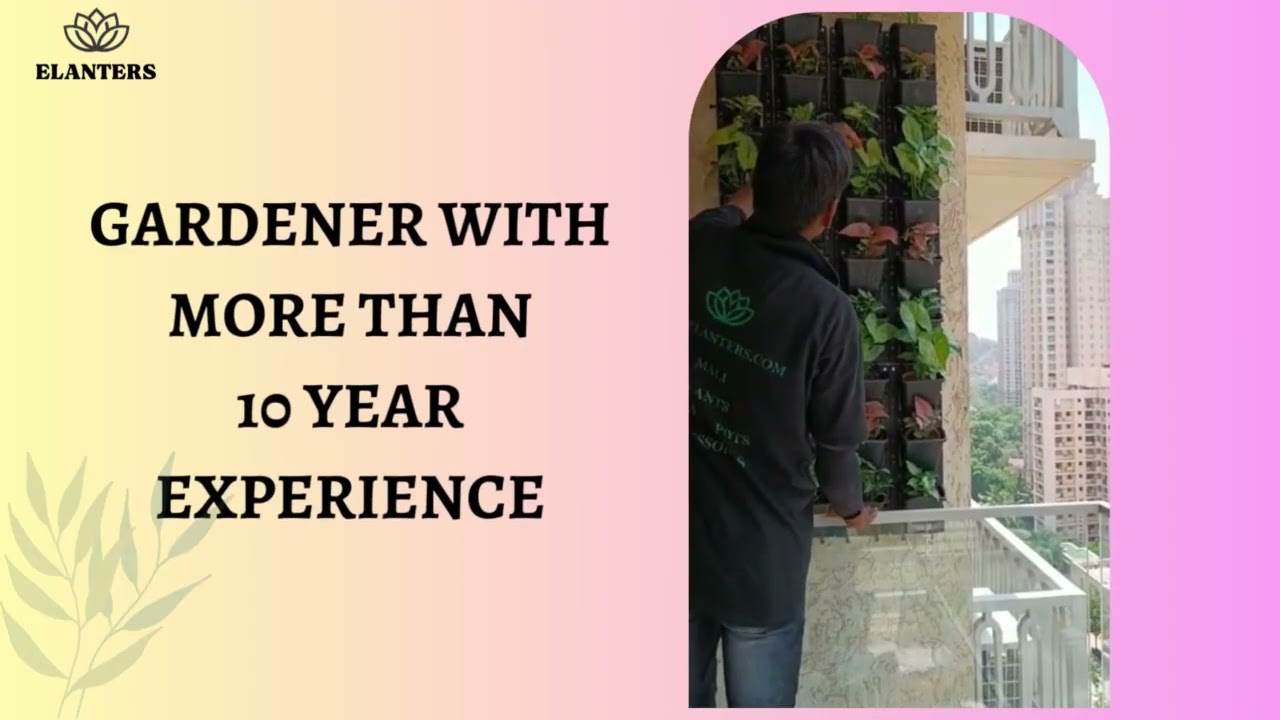 Professional Home Gardener/ Mali in Bangalore, Mumbai, Pune, Delhi, Ahemdabad & Hyderabad thumbnail