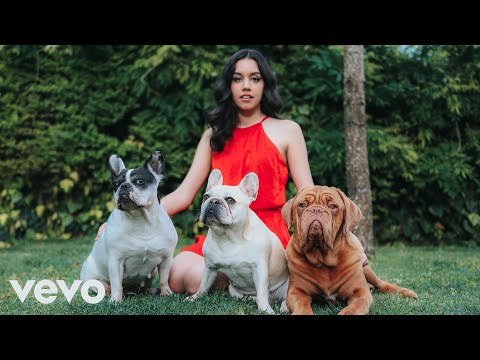 "Quarentena" - Paródia (Ouvi Dizer - Melim)