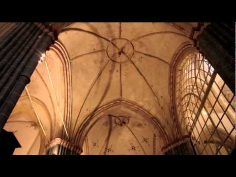 J.S. Bach - Ach bleib bei uns, Herr Jesu Christ, Martinikerk, Wim van Beek