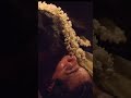 Kamboji Malayalm Movie Romantic Scene Sona Nair Vineeth Malayalam Movie Romantic Scene