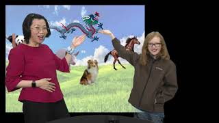 BOYS AND GIRLS CLUB Marty Chen Chinese Animals