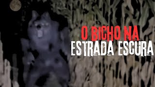 O BICHO NA ESTRADA DE ASSARÉ - CEARÁ.