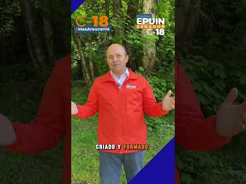 CRISTIAN EPUIN SENADOR - VOTA LOCAL