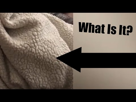 A Bunny Traps Herself Under A Blanket