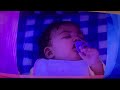 Barney Friends Season 14 Episode 8 Butterflies Part 1