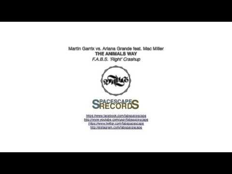 Martin Garrix vs. Ariana Grande feat. Mac Miller - The Animals Way (F.A.B.S. 'Right' Crashup)