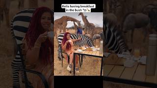 Kelis having breakfast in the bush 🦓🦒