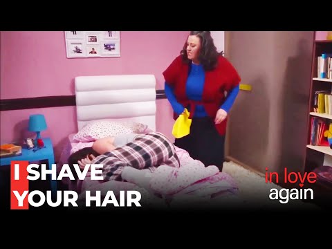 Open Threat from Ayfer to Şaziment - In Love Again