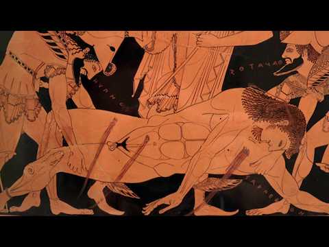 Do túmulo ao museu: a história do Sarpedon Krater