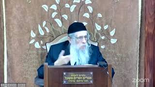 הרה"ג הרב וועכטר שליט"א י' טבת תשפ,ה - מאמר הרבי תשל"ב ד"ה ודוד עבדי מלך לעולם חלק ז (הרב אברהם מנחם מענדל וכטר) - התמונה מוצגת ישירות מתוך אתר האינטרנט יוטיוב. זכויות היוצרים בתמונה שייכות ליוצרה. קישור קרדיט למקור התוכן נמצא בתוך דף הסרטון