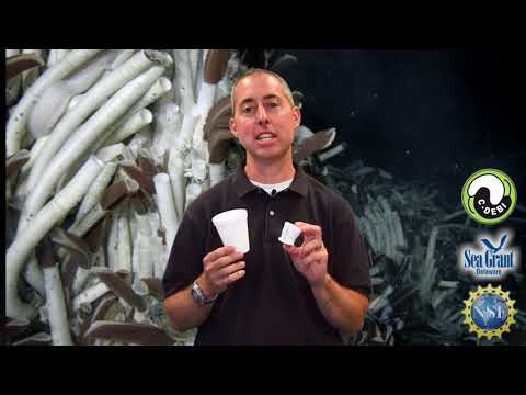 15 Second Science - Pressure in the deep sea