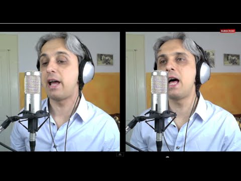 How to sing Baby's in Black Beatles Vocal Harmony Cover - Galeazzo Frudua